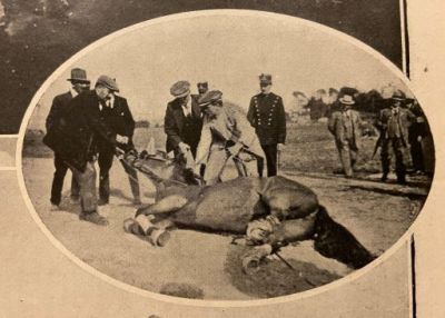 Sport_Illustrato_e_Guerra_III_17_30_09_1915_59
